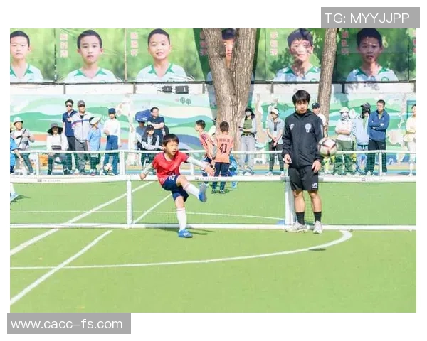 安徽足球明星盘点：那些在绿茵场上闪耀的本土英雄们