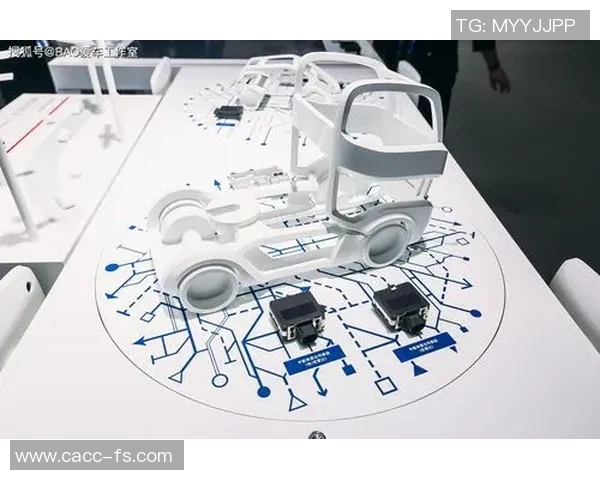 杭州羽毛球队转型之路的挑战与机遇全景揭秘 杭州羽毛球队转型之路的挑战与机遇全景揭秘