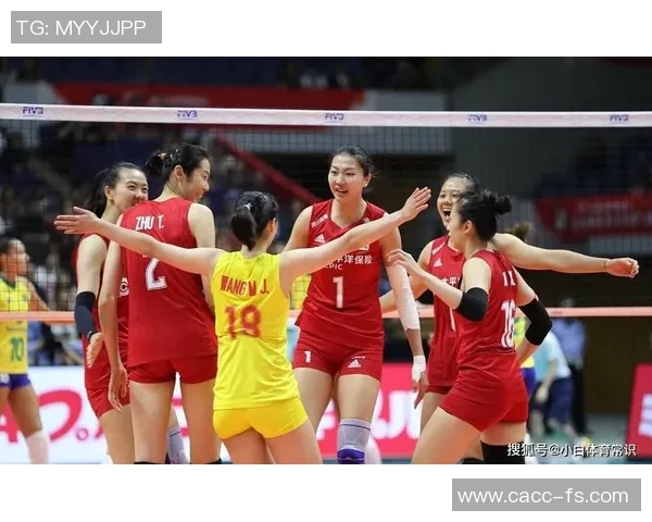 深度对话杨磊揭秘排球人生背后的坚持与梦想 深度对话杨磊揭秘排球人生背后的坚持与梦想