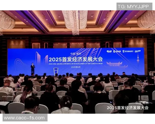 南京排球队防守反击的优劣分析与未来发展方向探讨 南京排球队防守反击的优劣分析与未来发展方向探讨