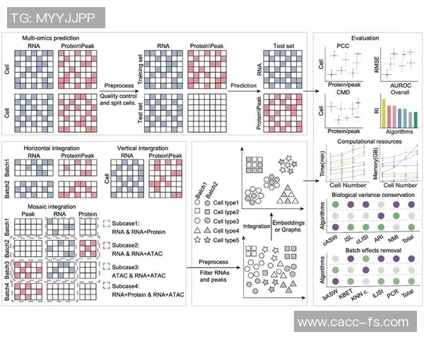 杭州篮球队在钻石联赛中的心理素质分析与表现评估