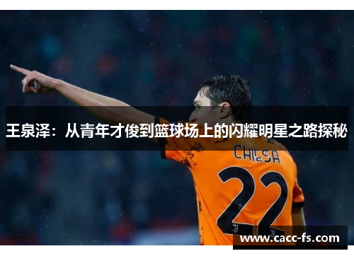 王泉泽：从青年才俊到篮球场上的闪耀明星之路探秘